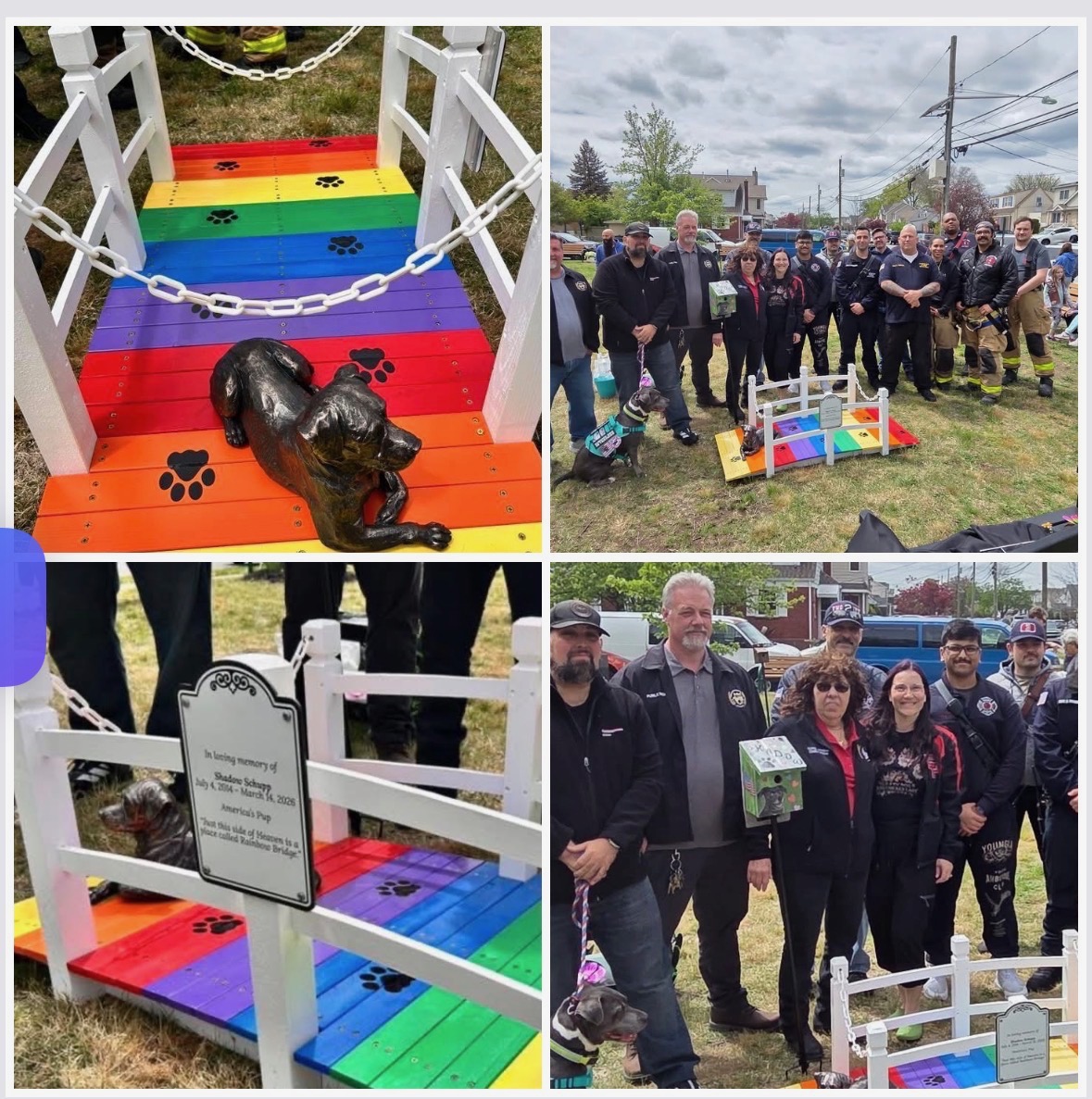 NJVN Accomplishment