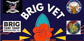 Brig Vet Surf Camp